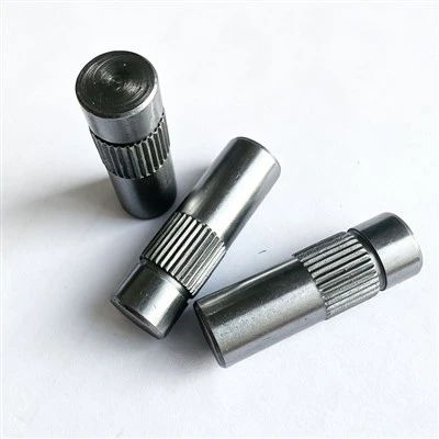 Fixed Cylindrical Pin